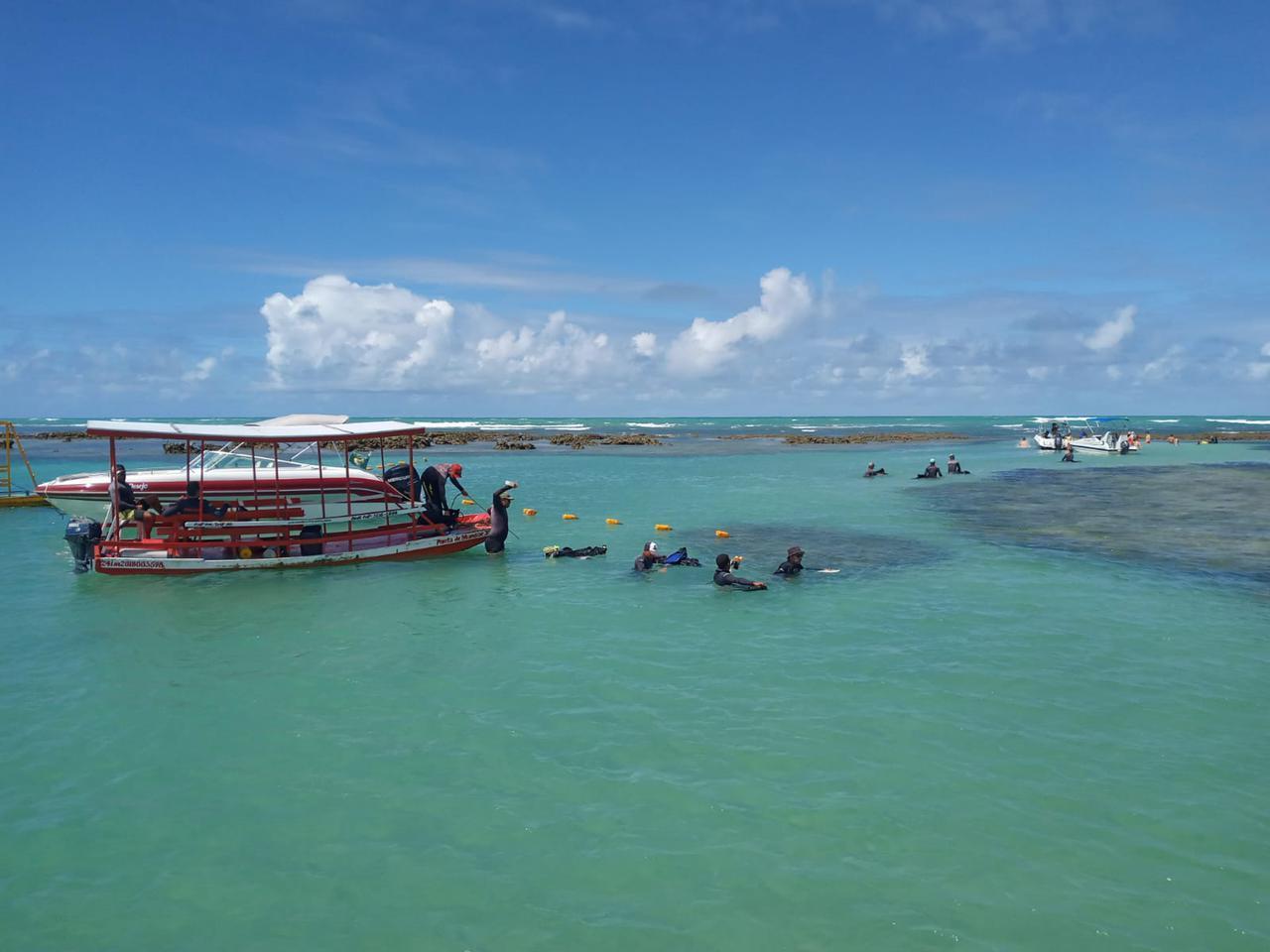 Pousada Ponta De Mangue Марагоджи Екстериор снимка